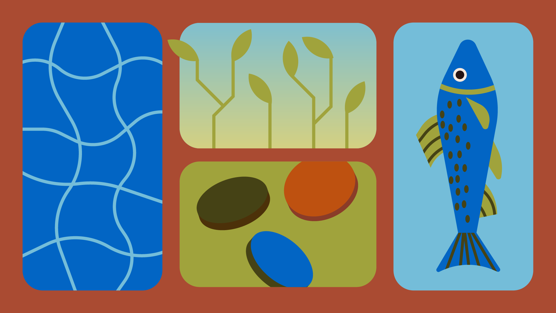 Illustration avec 4 cases où on voit de l'eau, des plantes, de l'argent et un poisson